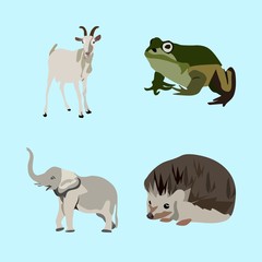 icons about Animal with farm animal, croaking, ear, urchin and wildlife