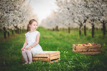 Dziewczynka w sadzie © Mateusz