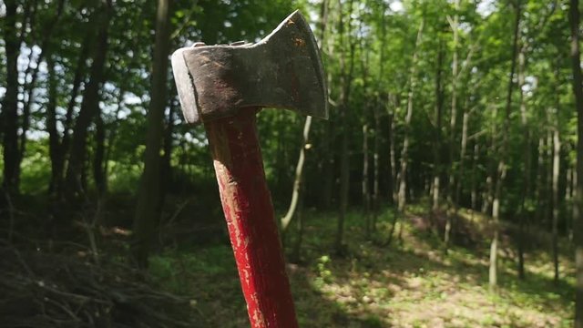 An ax in a stump on the background in the forest
