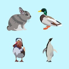 icons about Animal with farm, mallard, green, penguin and drawing