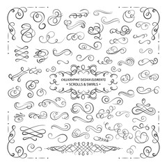 VECTOR collection of design elements, calligraphic swirls and scrolls for certificate decoration, greeting cards, wedding invitations. Black lines.