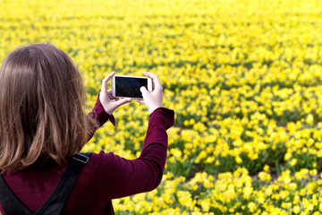 Girl takes pictures of a yellow daffodils on a smartphone