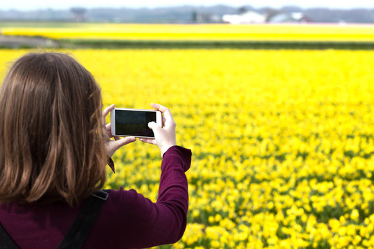 Girl takes pictures of a yellow daffodils on a smartphone