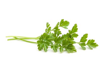 fresh parsley on white. organic vegetarian food.