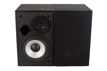 Image of professional audio speaker in a wooden case.
