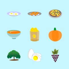 icons about Food with boiled egg, pizza, potato, fast food and grilled