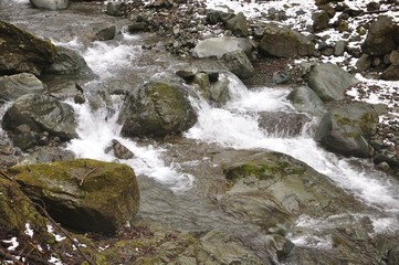 丹沢を流れる塩水川