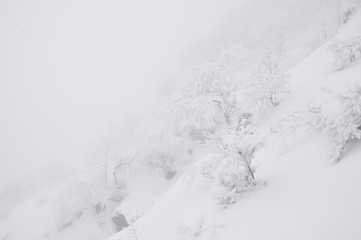 豪雪の丹沢山地