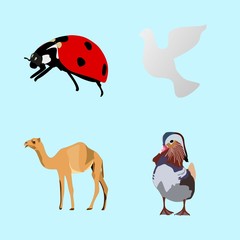 icons about Animal with culture, little, tourism, painting and beak