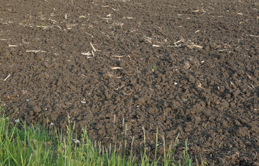 agriculture farming field