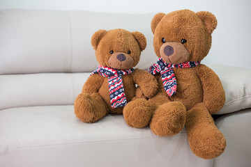 Teddy Bear sitting on the sofa.