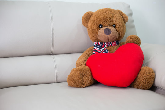 Teddy Bear sitting on the sofa.
