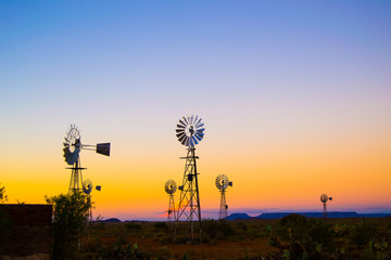 Windpumps with Sunset