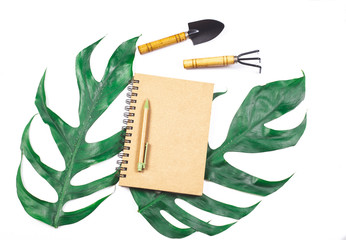 book note and green leaf on white background isolate.