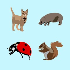 icons about Animal with ladybird, beetle, poster, danger and home cat