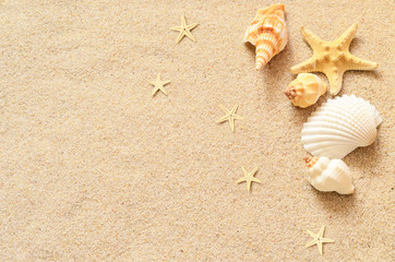 Naklejka na ściany i meble Seashells and starfish on the sand background. Summer beach.