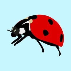 icons about Animal with white, eps, isolated, little and summer