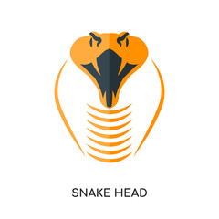 snake head logo isolated on white background , colorful vector icon, brand sign & symbol for your business