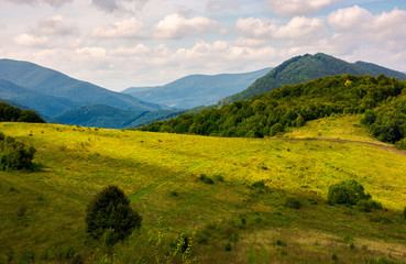 Obraz premium lovely mountainous countryside in autumn. forest on a grassy hillside under the beautiful cloudy sky. wonderful place for hike or a picnic in Carpathian mountains, Volovets district, Ukraine