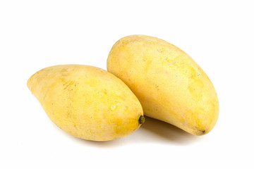 mangos on white background