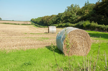 Summertime agricultural scenery in the English countryside of Dorset..
