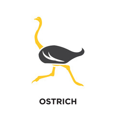 ostrich logo isolated on white background , colorful vector icon, brand sign & symbol for your business