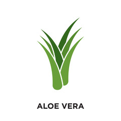 aloe vera logo isolated on white background , colorful vector icon, brand sign & symbol for your business