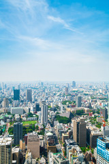 Fototapeta premium Krajobraz Tokio