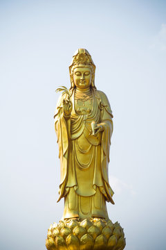 golden statue of the goddess of mercy  guanyin or guan yin standing on the lotus. buddhist and religion concept.