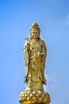 golden statue of the goddess of mercy  guanyin or guan yin standing on the lotus on blue sky background. buddhist and religion concept.