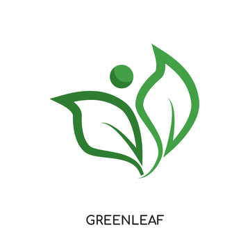 greenleaf logo isolated on white background , colorful vector icon, brand sign & symbol for your business