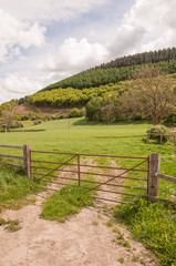 Fototapeta na wymiar Welsh farming landscape in the summertime.