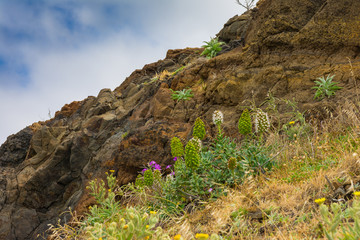 Ponta de Sao Lourenco in Madeira island, Portugal