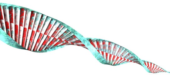 Dna, elica di Dna, acido desossiribonucleico è un acido nucleico che contiene le informazioni genetiche necessarie per il corretto funzionamento degli organismi viventi