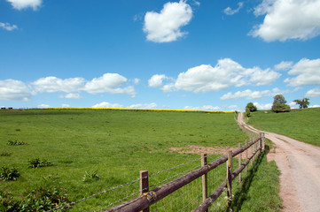 Fototapeta na wymiar Springtime landscape in the English countryside.