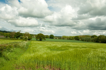 Countryside scenery in the Wye valley of Herefordshire, United Kingdom.