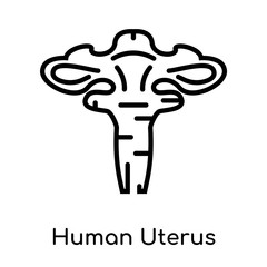 Human Uterus icon isolated on white background , black outline sign, linear modern symbol
