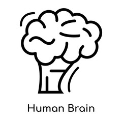 Human Brain icon isolated on white background , black outline sign, linear modern symbol