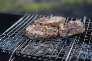 Grilled meat on barbecue