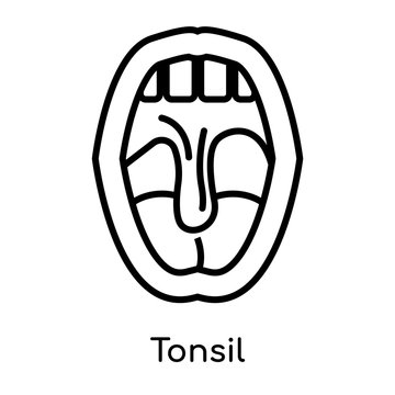 Tonsil icon isolated on white background , black outline sign, linear modern symbol