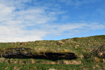 Horizon is very close. Partly cloudy. The top of the rock merges with the sky. It is visible by the...