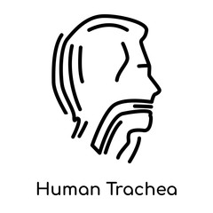 Human Trachea icon isolated on white background , black outline sign, linear modern symbol