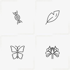Biology line icon set with amoeba, butterfly and leaf