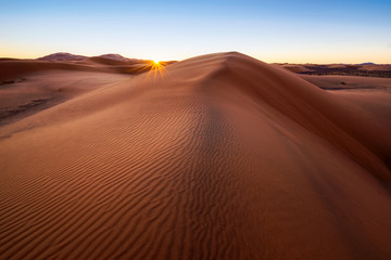 Fototapeta na wymiar Eine Sanddüne in der Sahara zum Sonnenaufgang.