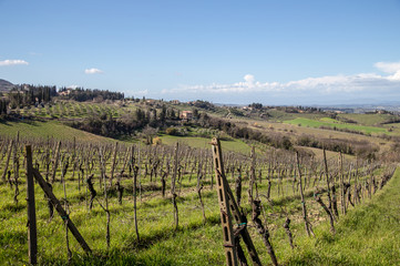 Fototapeta na wymiar Vineyards, Tuscany, Italy