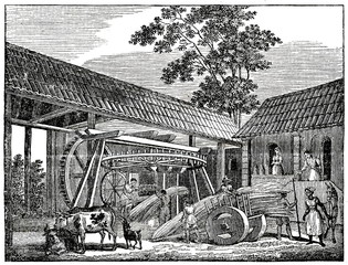 Sugar cane processing at french island Fleche (from Das Heller-Magazin, August 30, 1834) - obrazy, fototapety, plakaty