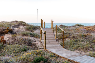 wooden path on beach