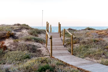 Aluminium Prints North sea, Netherlands wooden path on beach
