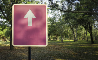 green grass field in big city park