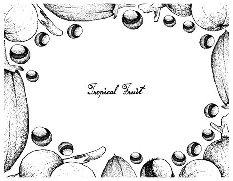 Hand Drawn Frame of Baobab and Cambuca Fruits